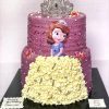 2 tier princess sophia cake