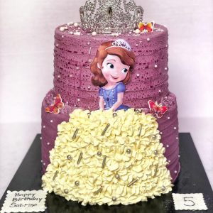 2 tier princess sophia cake