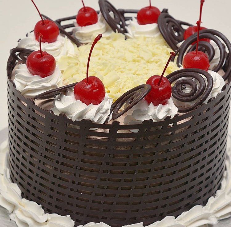 8"Chocolate Divine Original